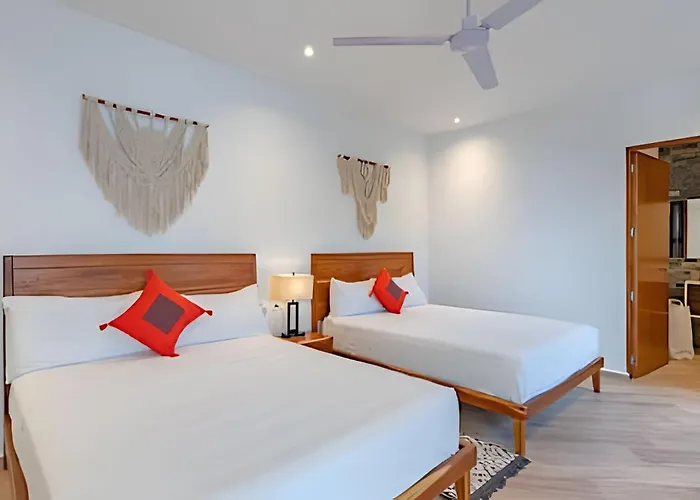 Oasis Yaaxlum Estudios Tulum