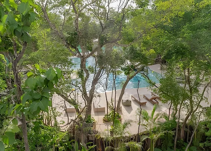Oasis Yaaxlum *